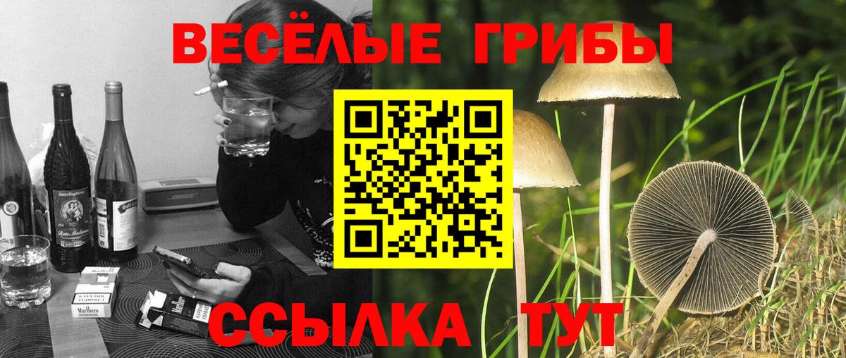 Апшеронск  Псилоцибиновые грибы Magic Shrooms  купить   Вход с VPN 