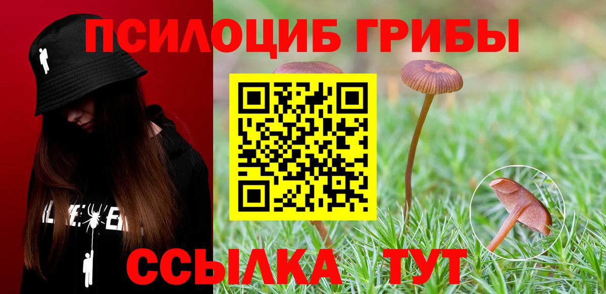 Галлюциногенные грибы Magic Shrooms Апшеронск